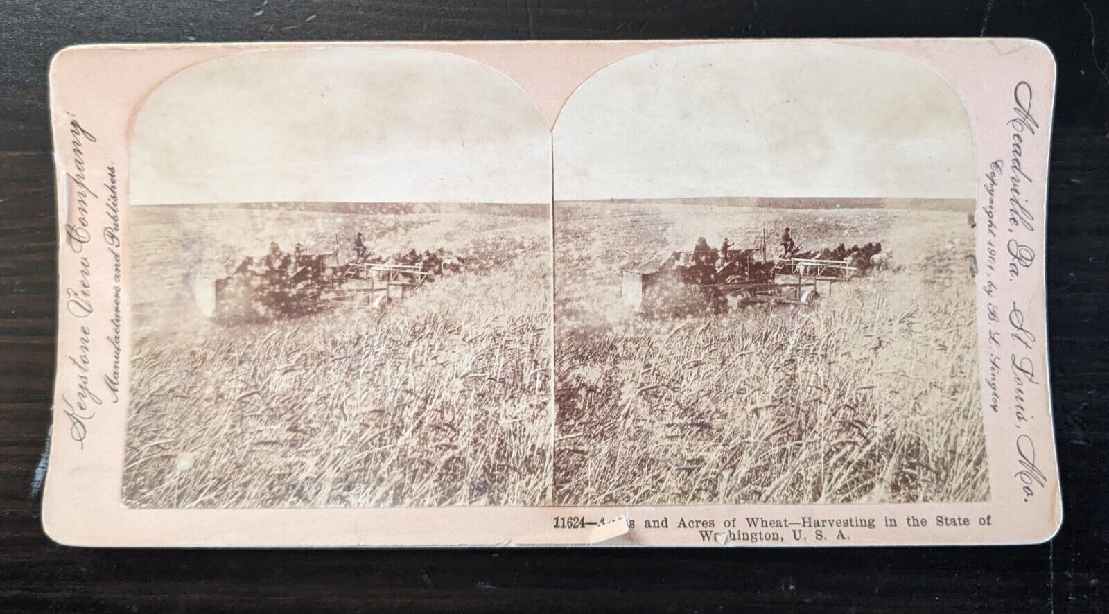 Harvesting Wheat Thresher Washington State Early Keystone #11624 Stereoview Card