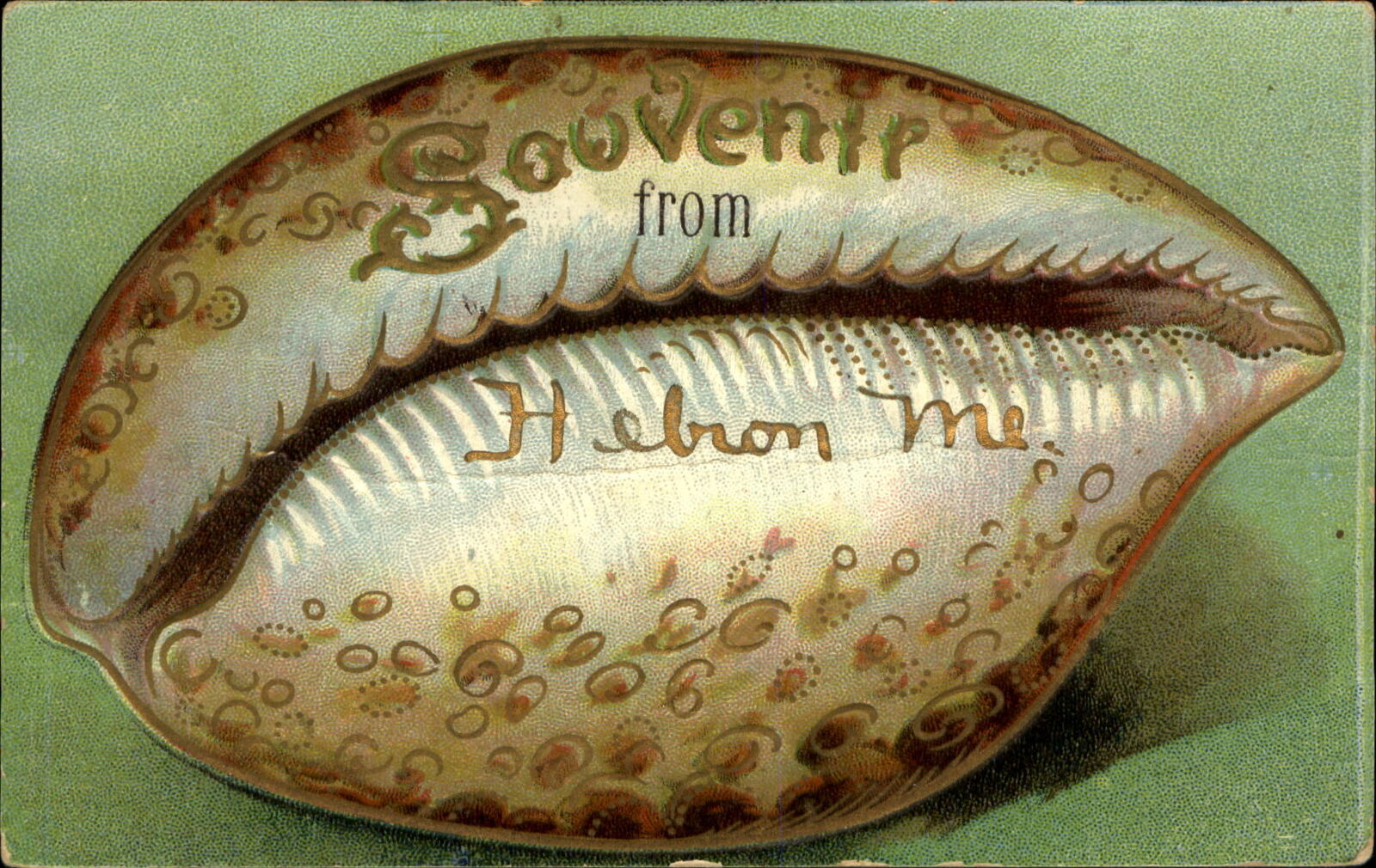 Souvenir sea shell from HEBRON Maine ~ 1908 to HELEN MESERVEY Spruce Head