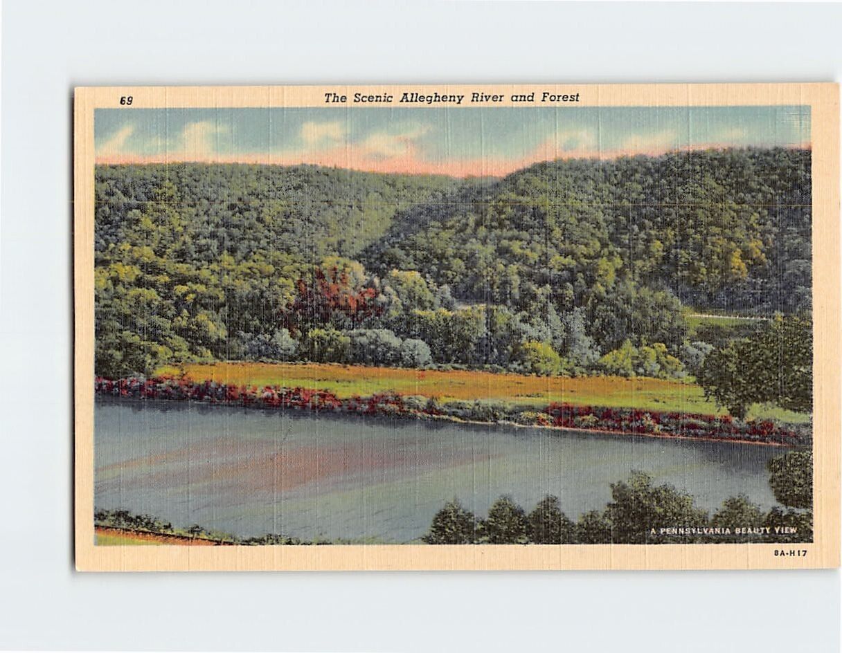 Postcard The Scenic Allegheny River and Forest Pennsylvania USA