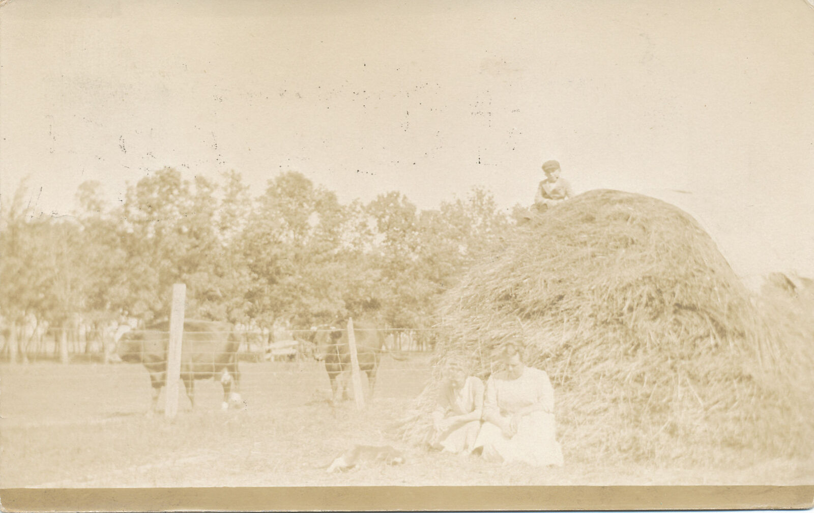 RPPC Farm - Cow - Stack of Hay -Children - Dog - real photo postcard 1912