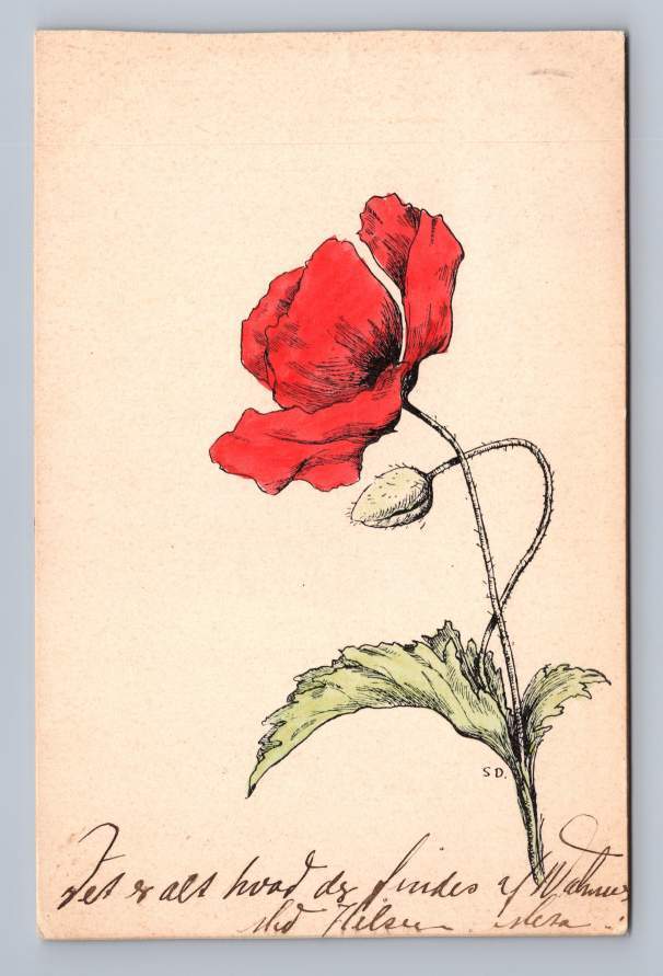 Beautiful Antique Hand Colored Flower Postcard Odense Denmark 1904