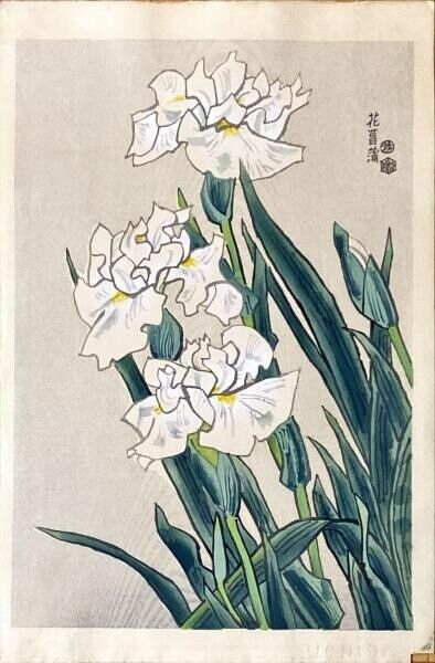 Eiichi Kotozuka Japanese Woodblock Japanese Iris Used