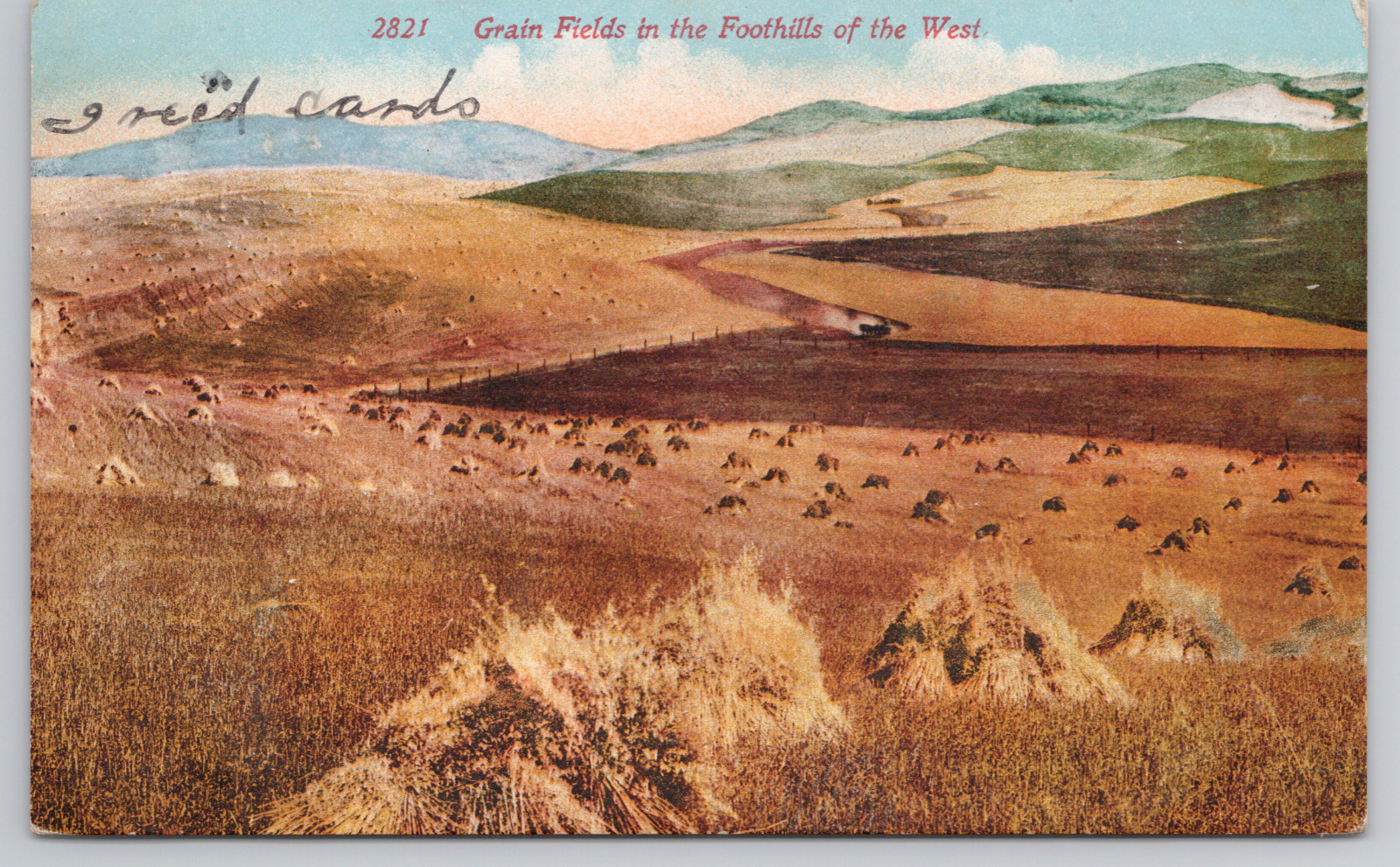 Grain Fields of the Foothills of the West Edward H Mitchell 1914 Postcard Posted