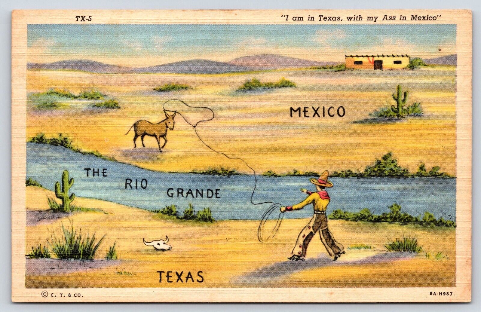 Texas The Rio Grande Humor Vintage Postcard