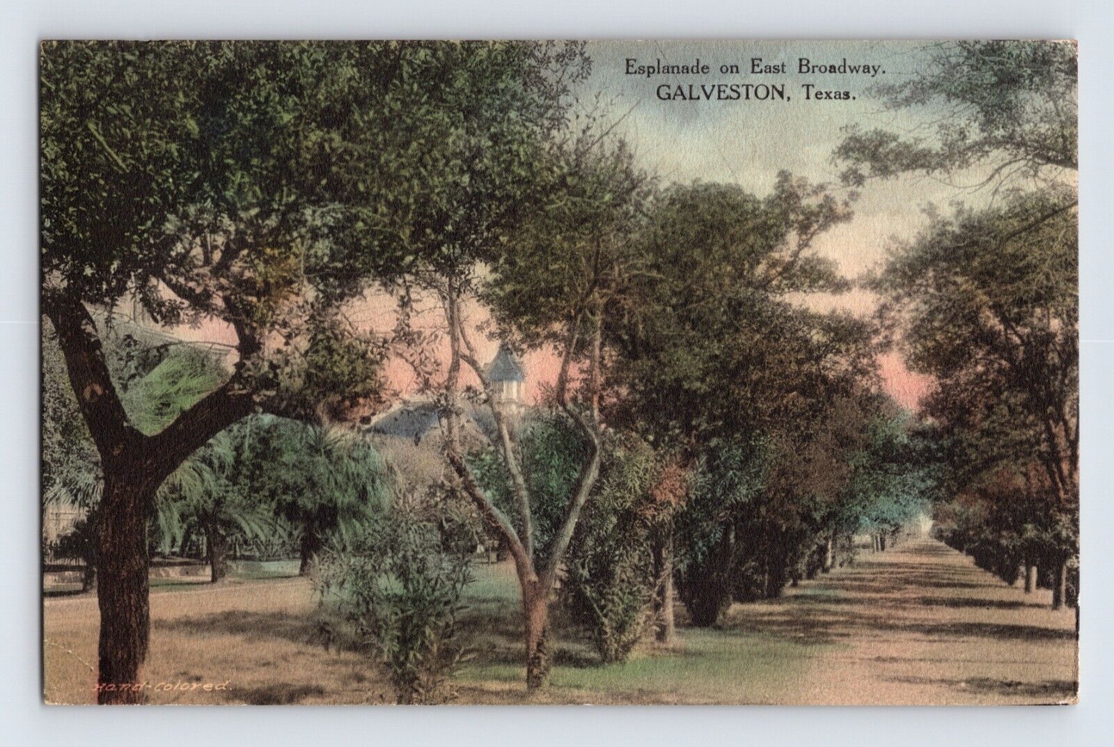 Postcard Texas Galveston TX Esplanade East Broadway Hand Colored 1916 Posted