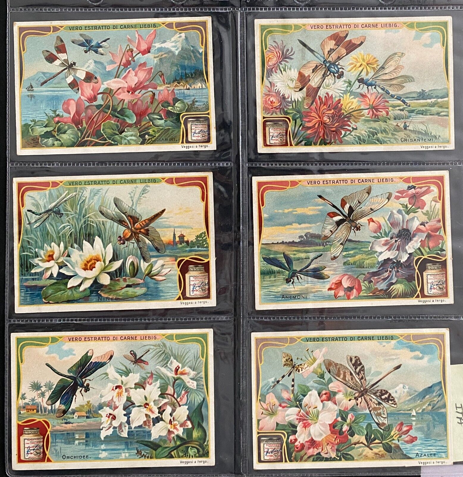 6 LIEBIG ITALY CHROMOS NUMBER S896 FLOWERS AND DRAGONFLY 1907