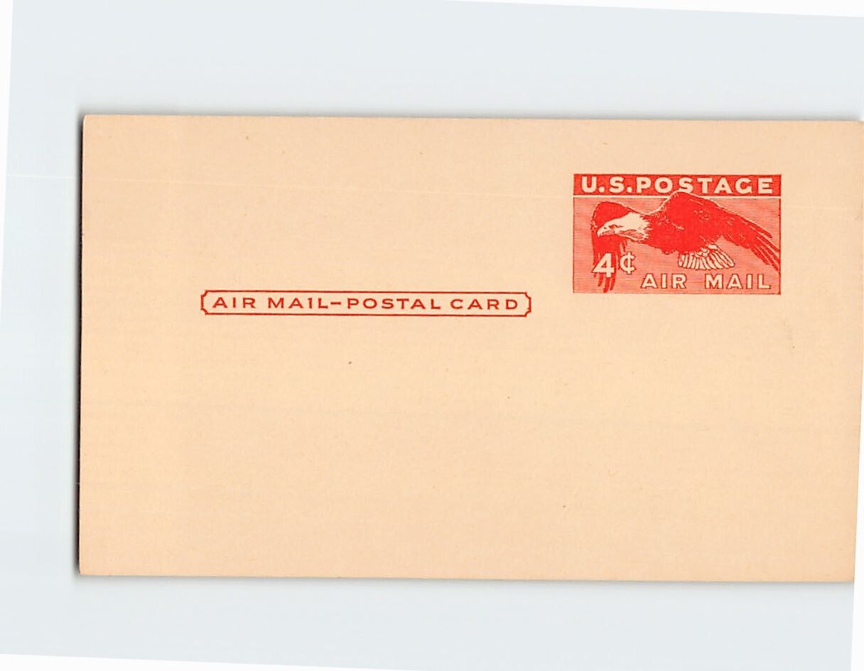 Postcard American Bald Eagle US Postage Blank Postcard