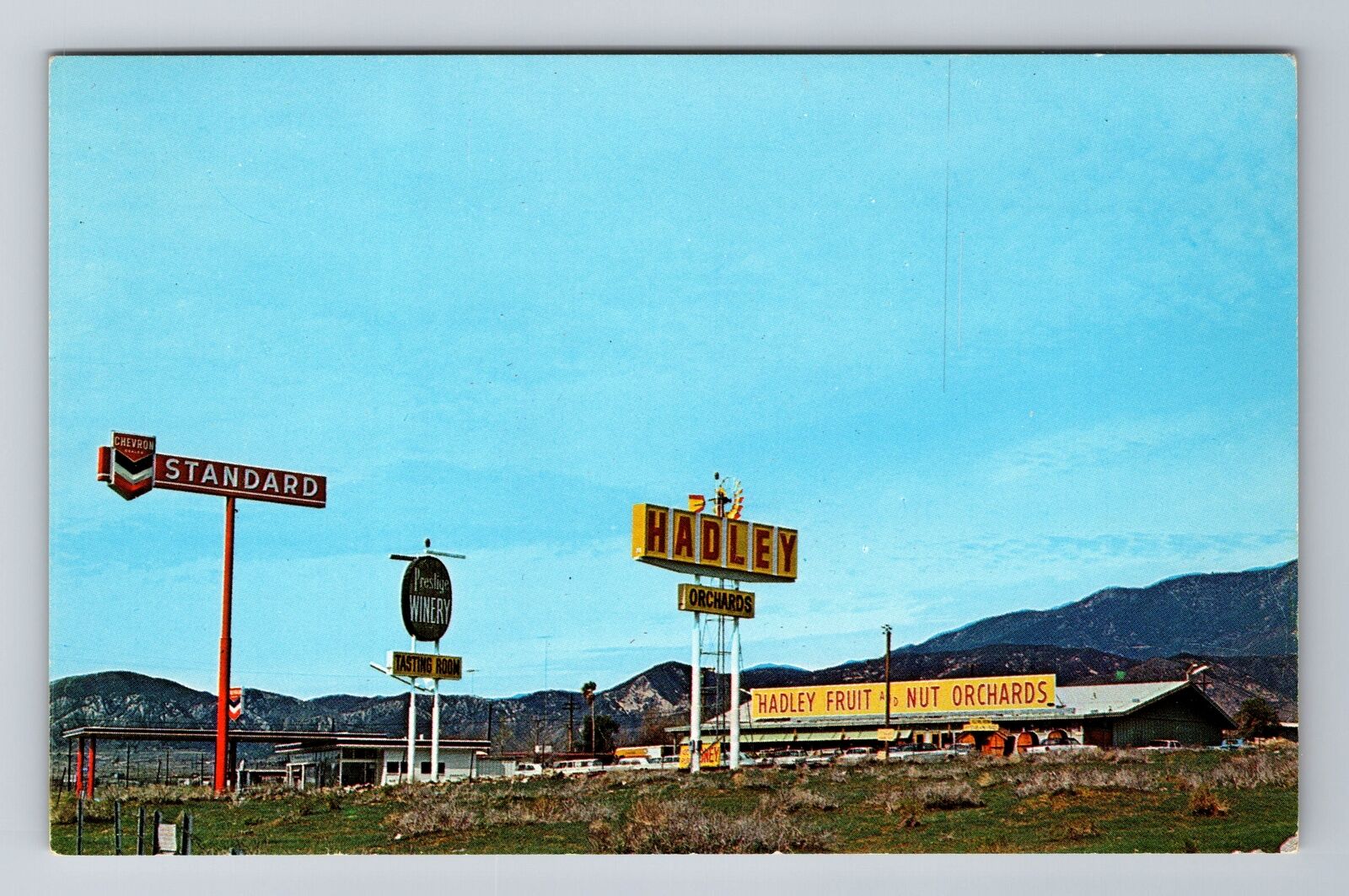 Cabazon CA-California, Hadley Fruit Orchard, Chevron Station, Vintage Postcard