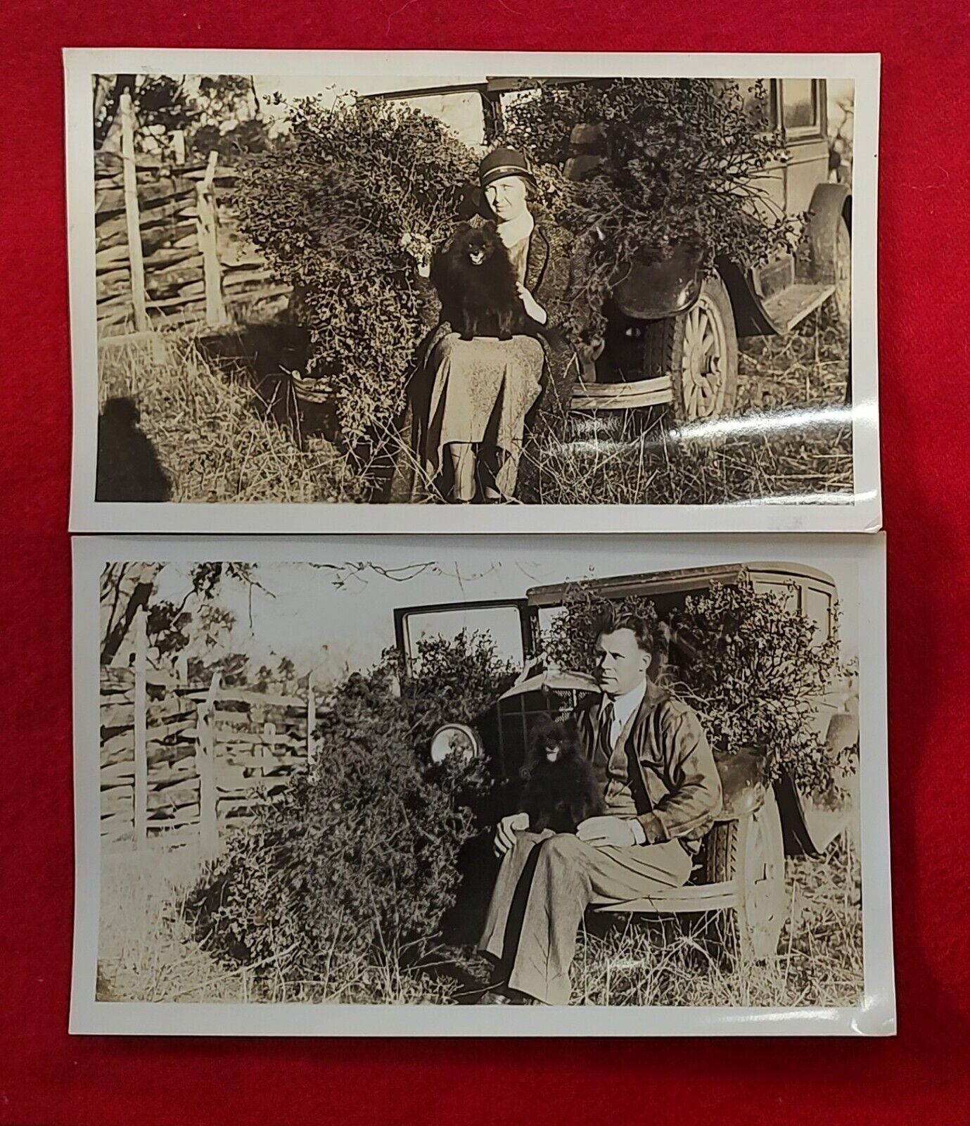 2 Antique Snapshots Man/Woman, Automobile & Dog   3.5\