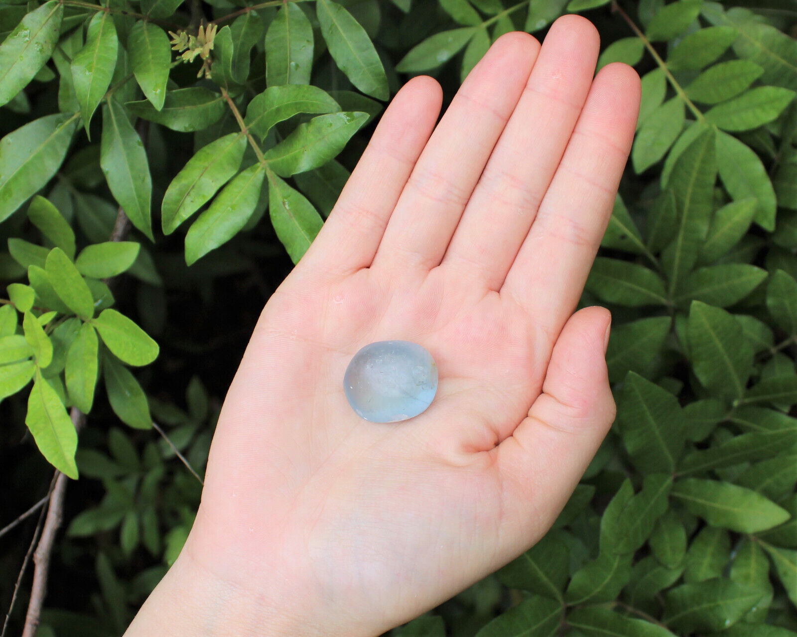 1 Medium Blue Celestite Tumbled Stone (Crystal Healing Rare Gemstone Celestine)