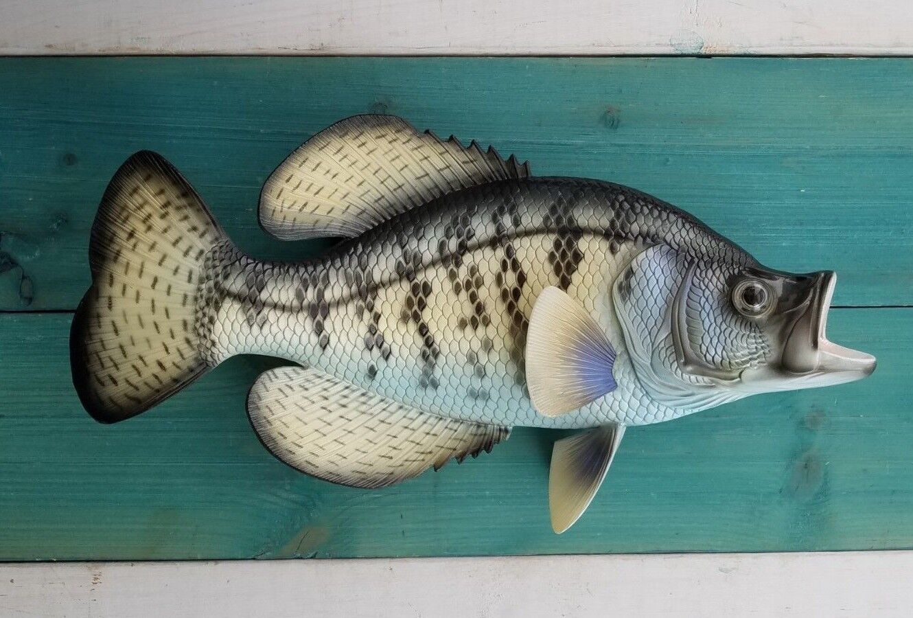 Crappie Hand Painted 15\