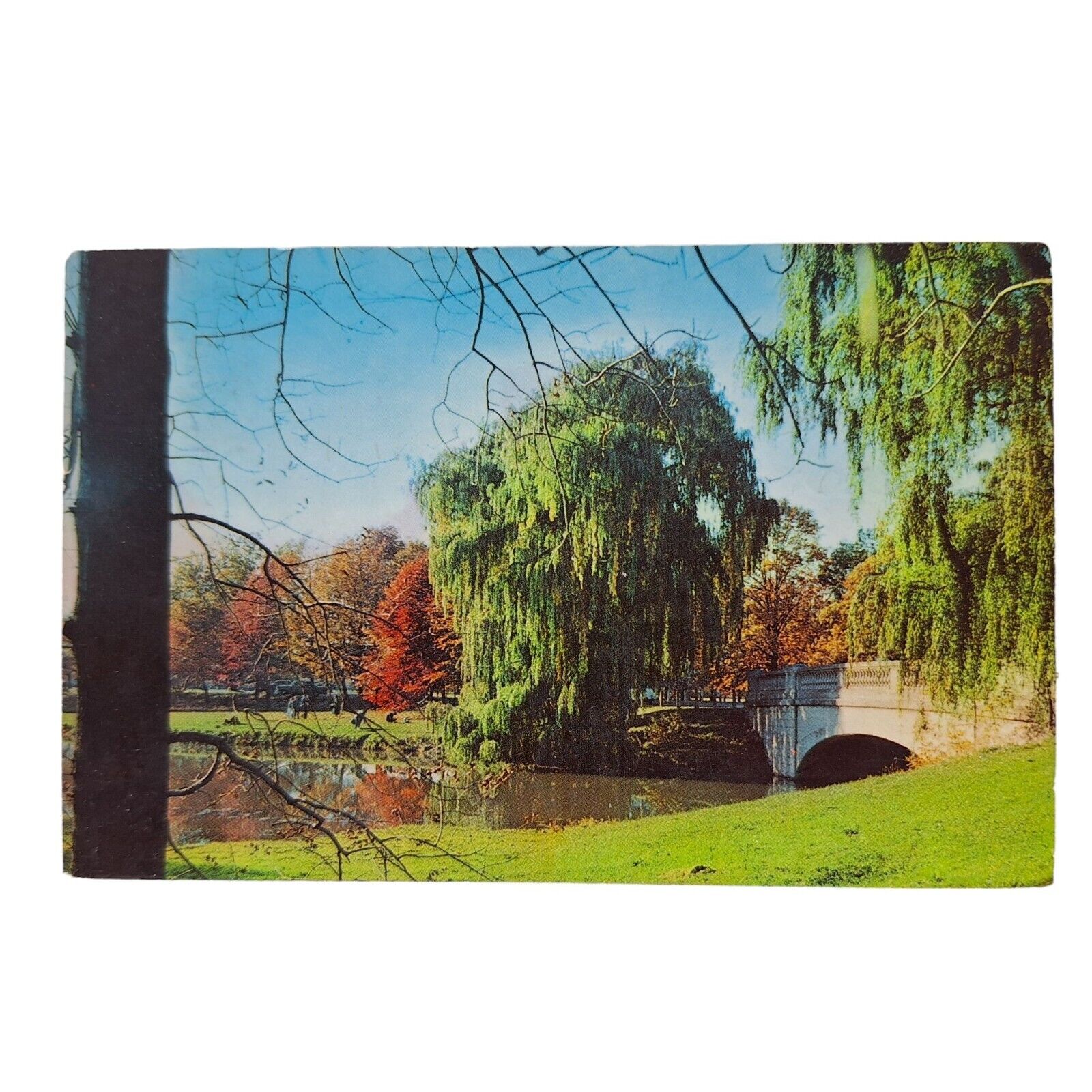 Postcard Genesee Valley Park Rochester New York Chrome Posted