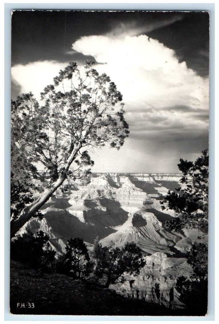 c1940's Grand Canyon River View South Rim Arizona AZ RPPC Photo Postcard