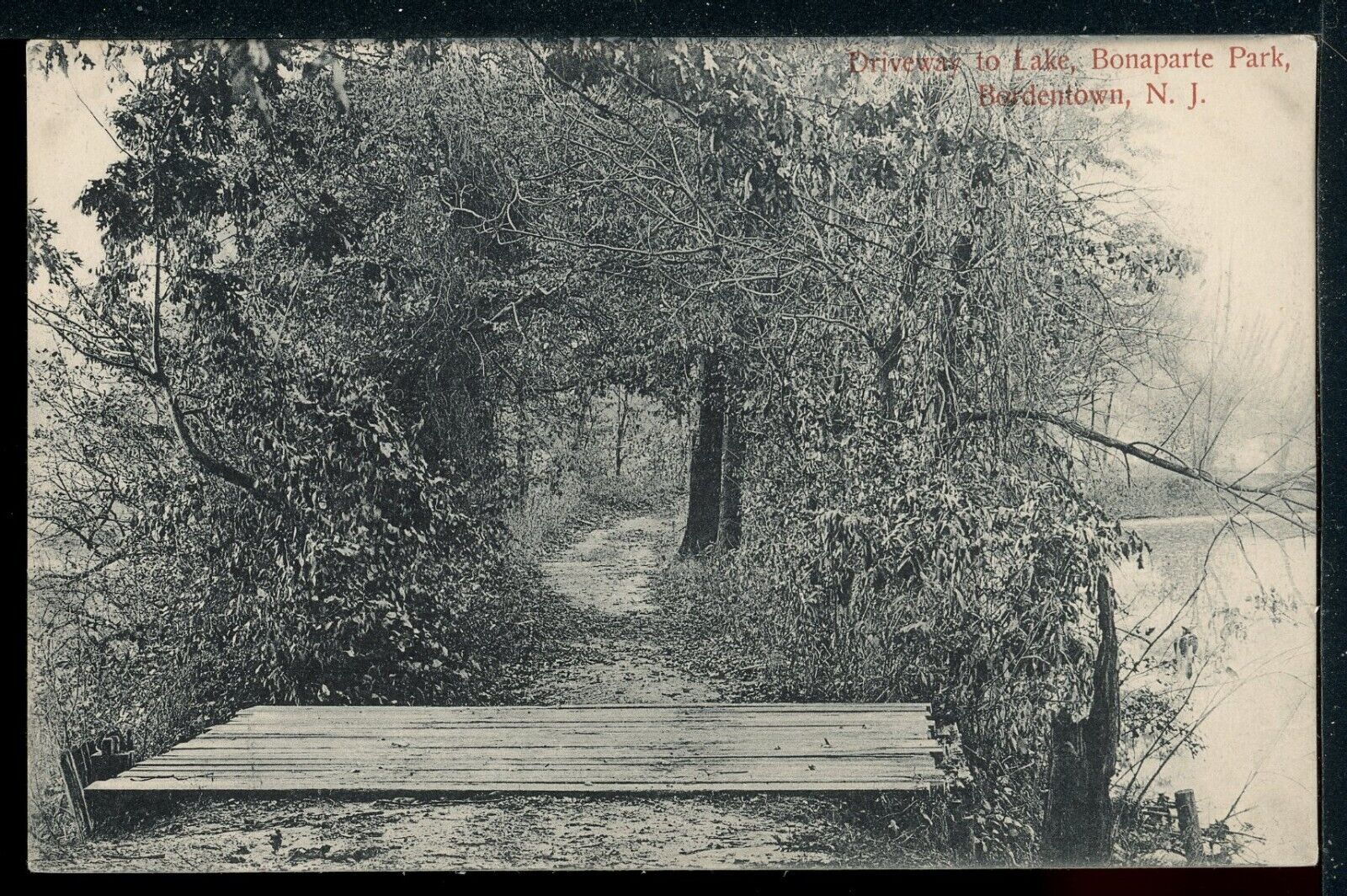 Early Bonaparte Park Driveway to Lake Bordentown NJ Historic Vintage Postcard
