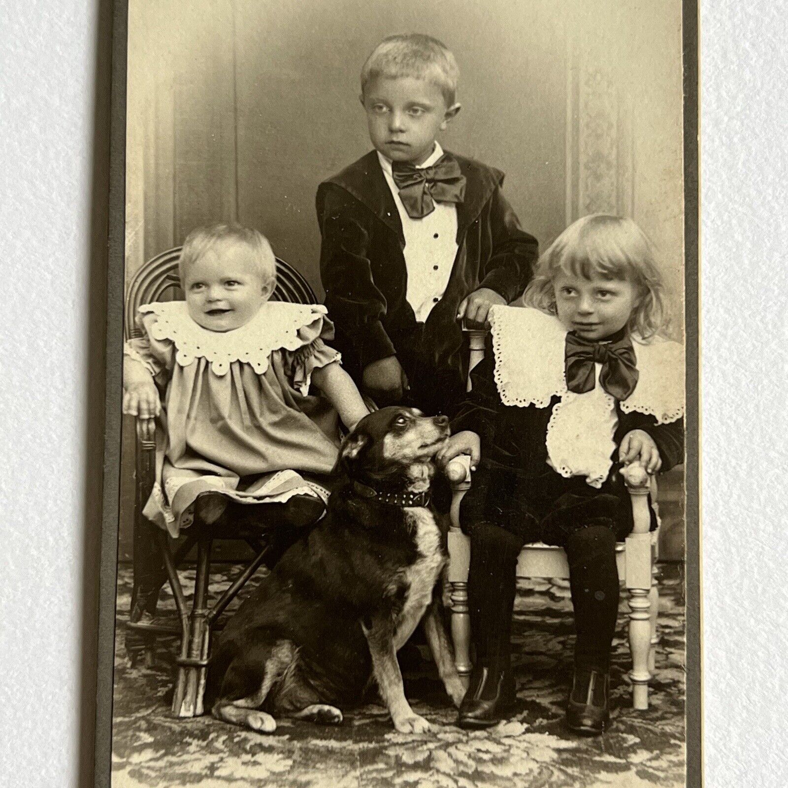 Antique CDV Photograph Adorable Sweet Children Boys Beloved Chihuahua Dog