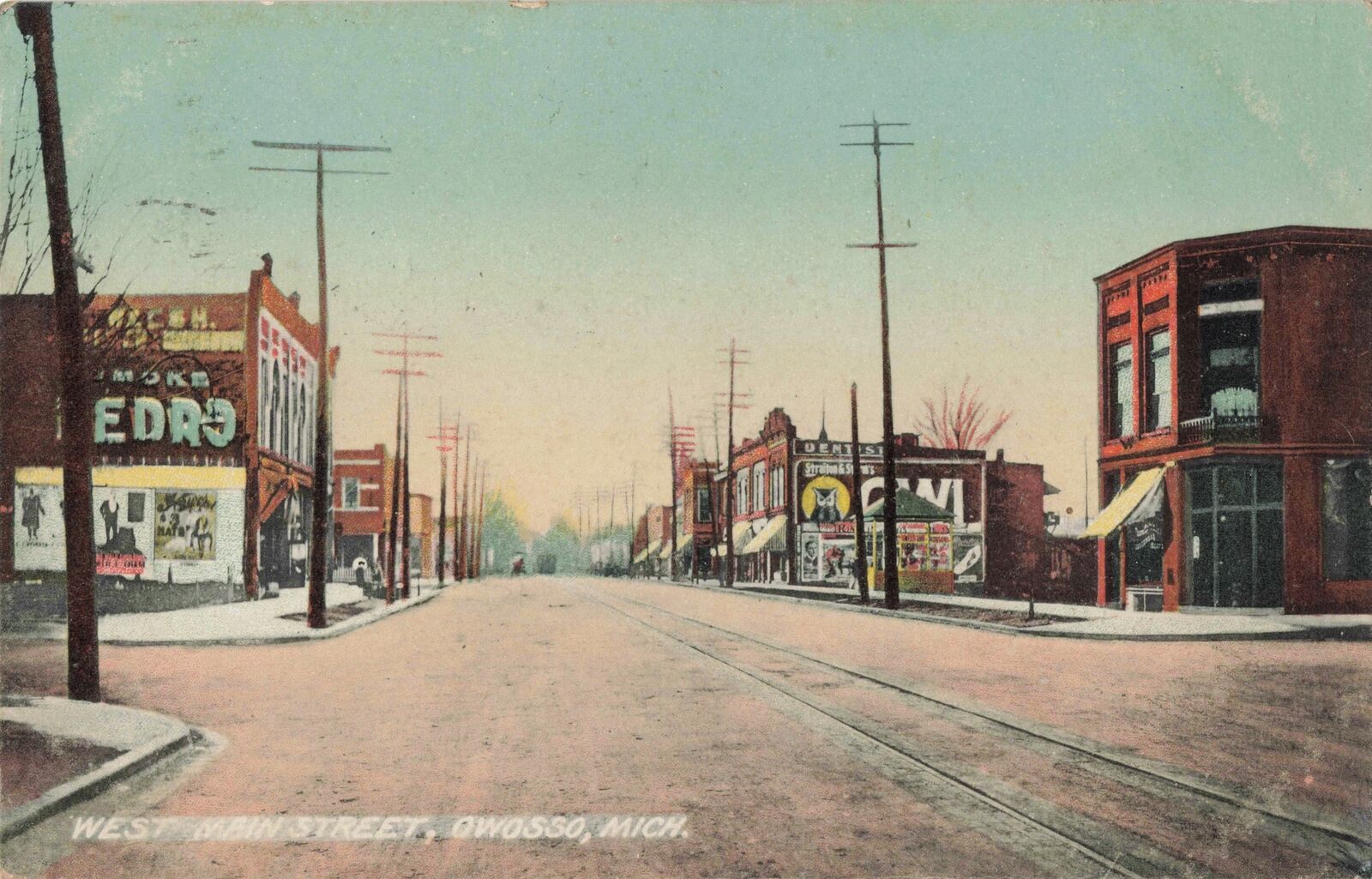 RR Owosso MI 1908 STREETCAR DAYS Downtown Stores Businesses Hotels Cafes & MORE 