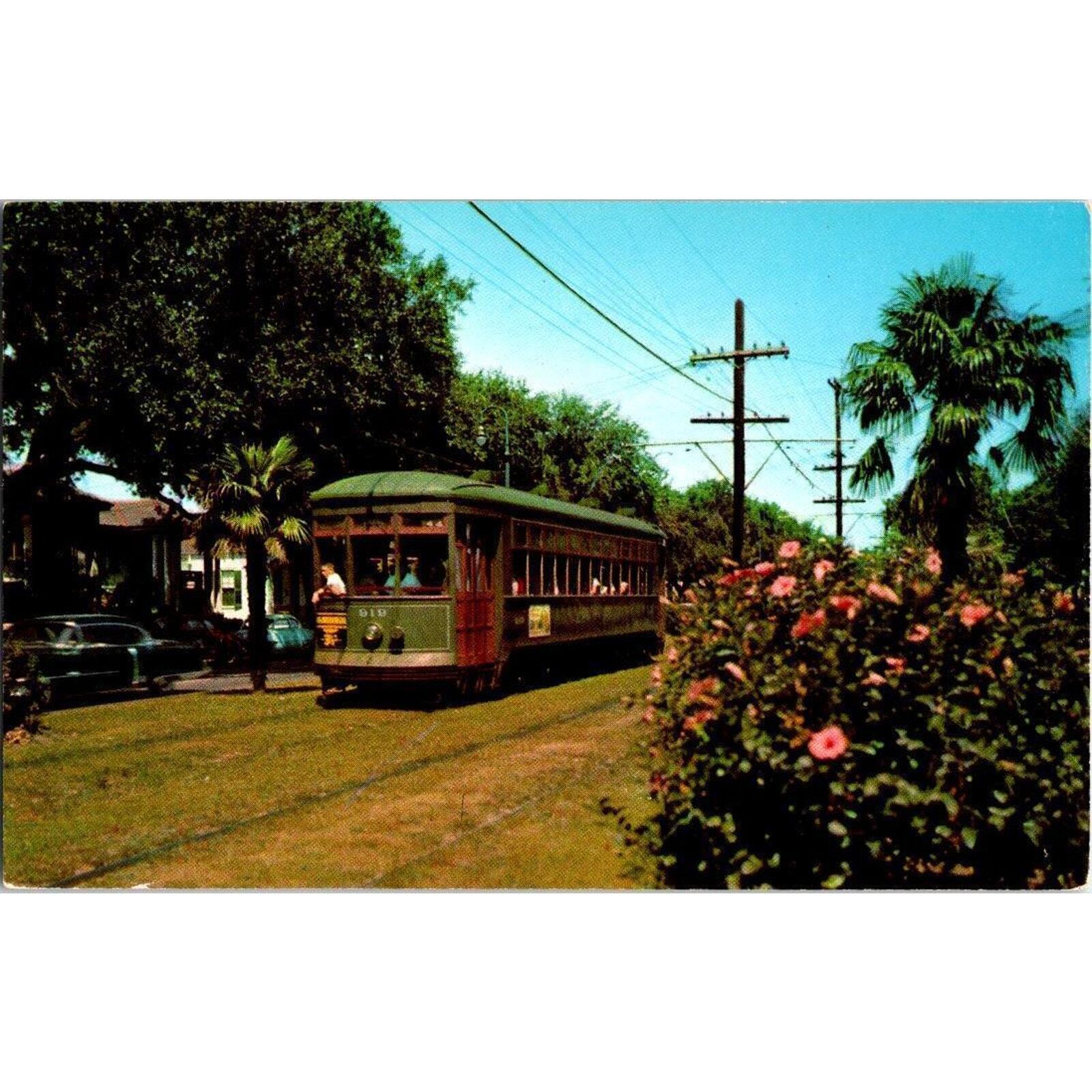 Vintage Postcard Street Car Scene New Orleans Louisiana Transit Service
