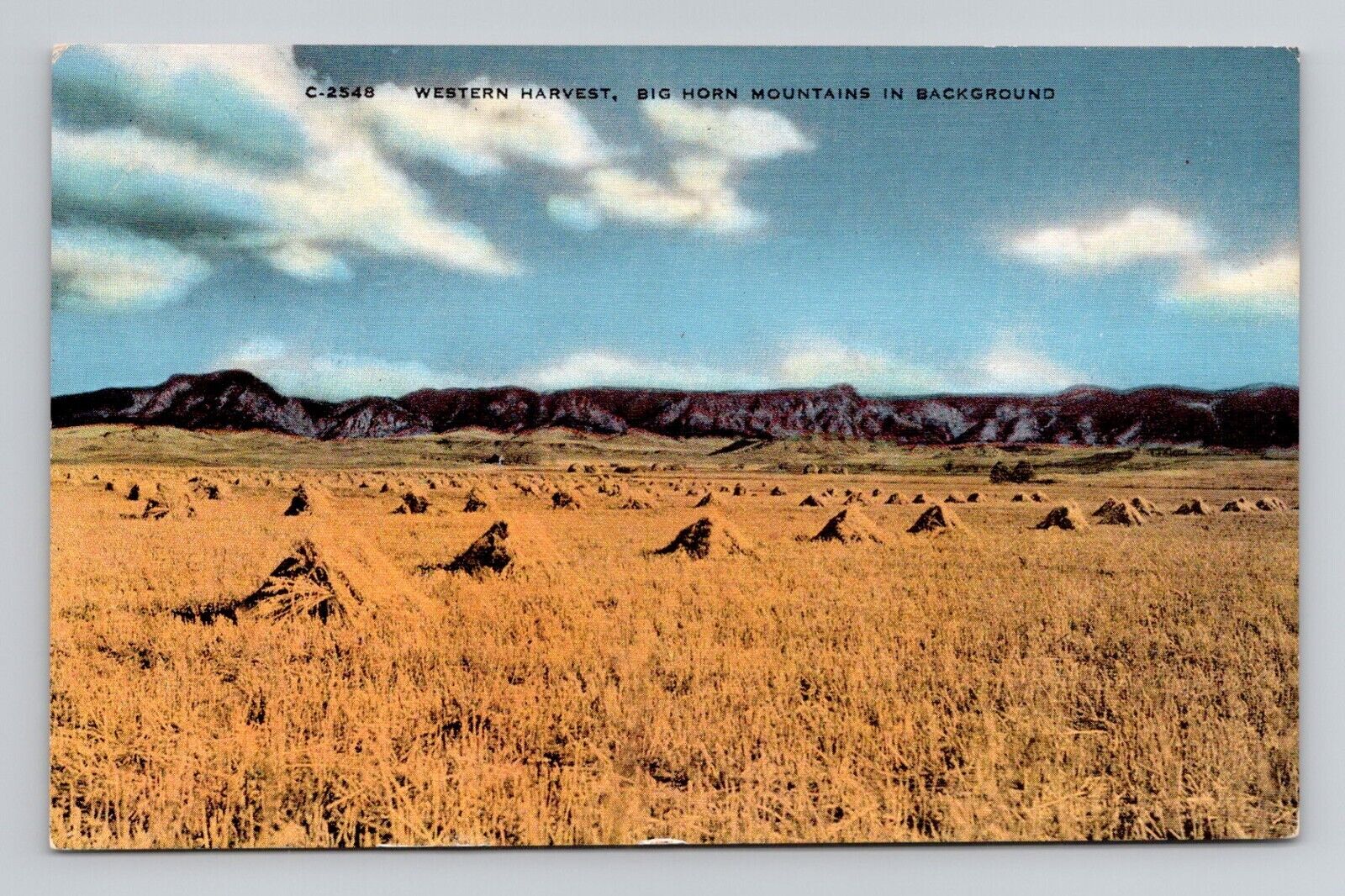 Postcard Grain Harvest near Butte Montana, Vintage Linen E16