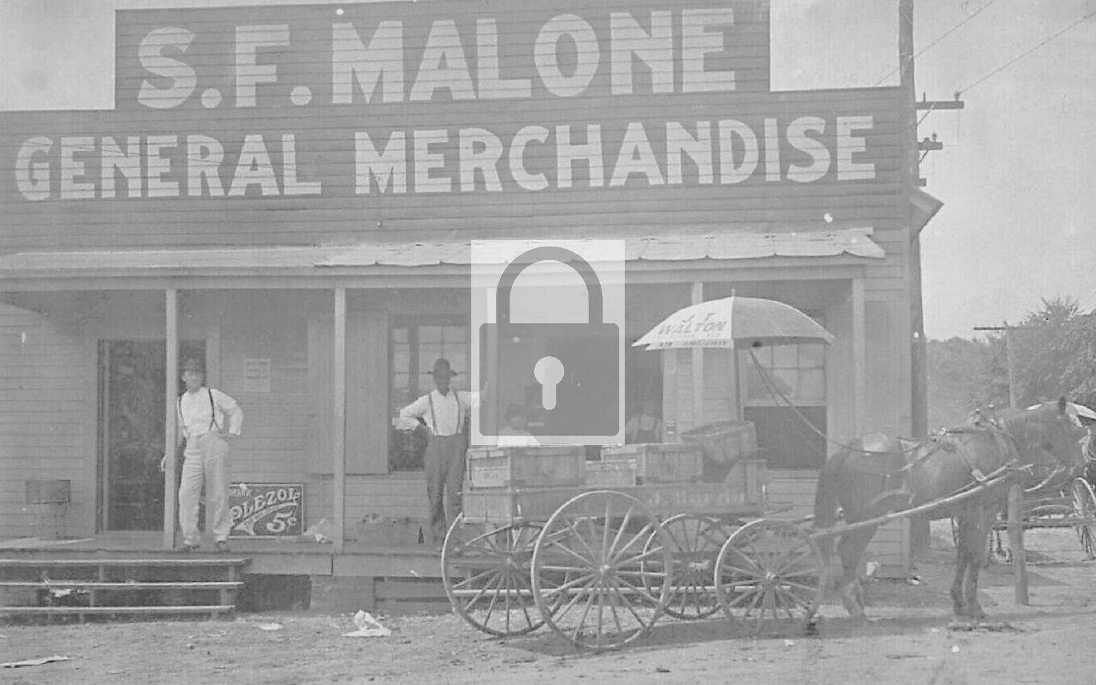 S F Malone General Merchandise Store Tuscaloosa Alabama AL Reprint Postcard