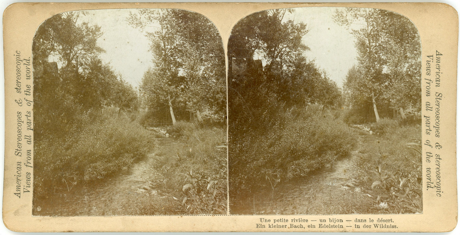 Vintage A Small River in the Desert Stereo, Place to Identify, circa 1900 