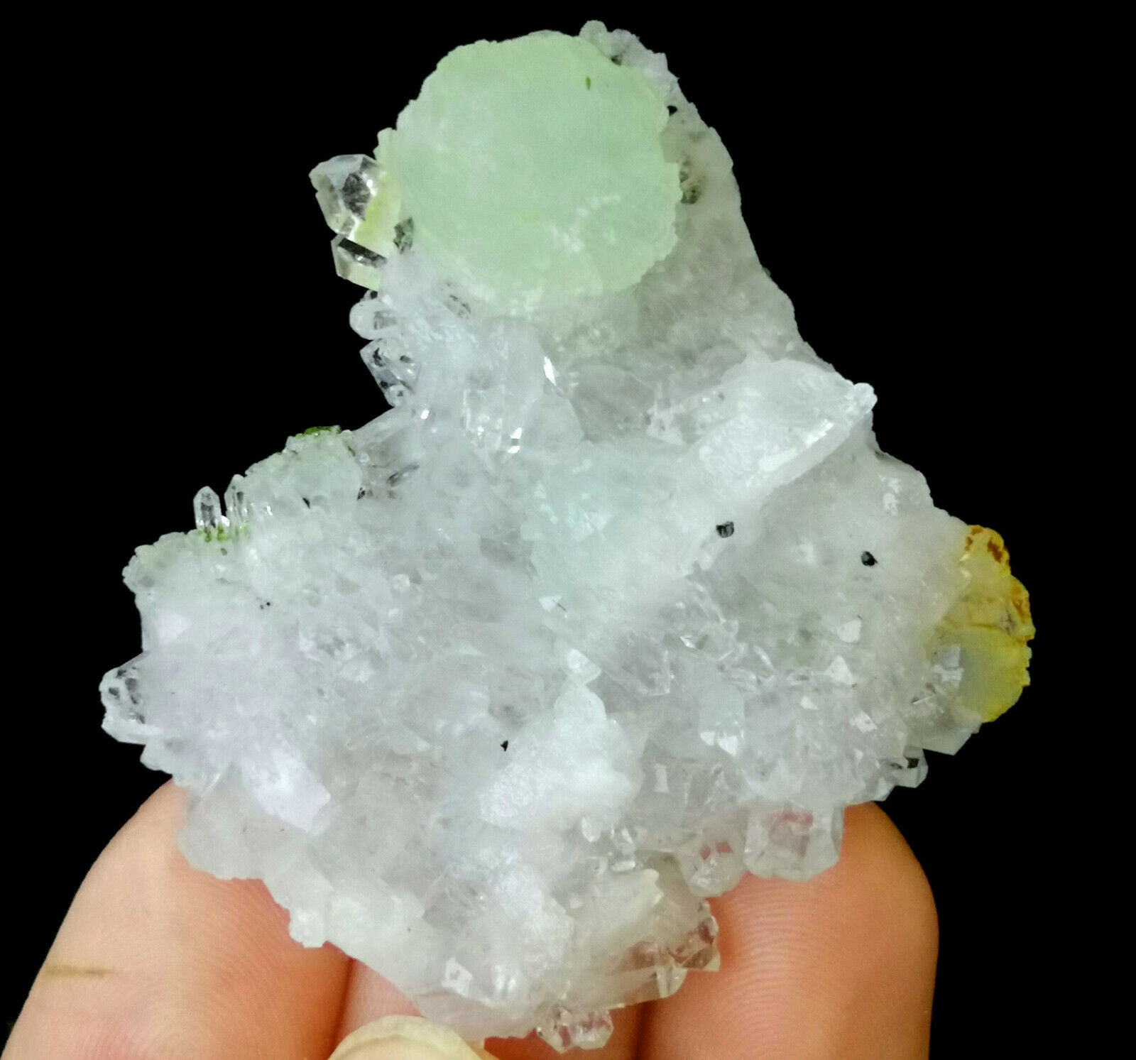 47mm Light Green Prehnite balls on Drusy Quartz crystals from China B8578