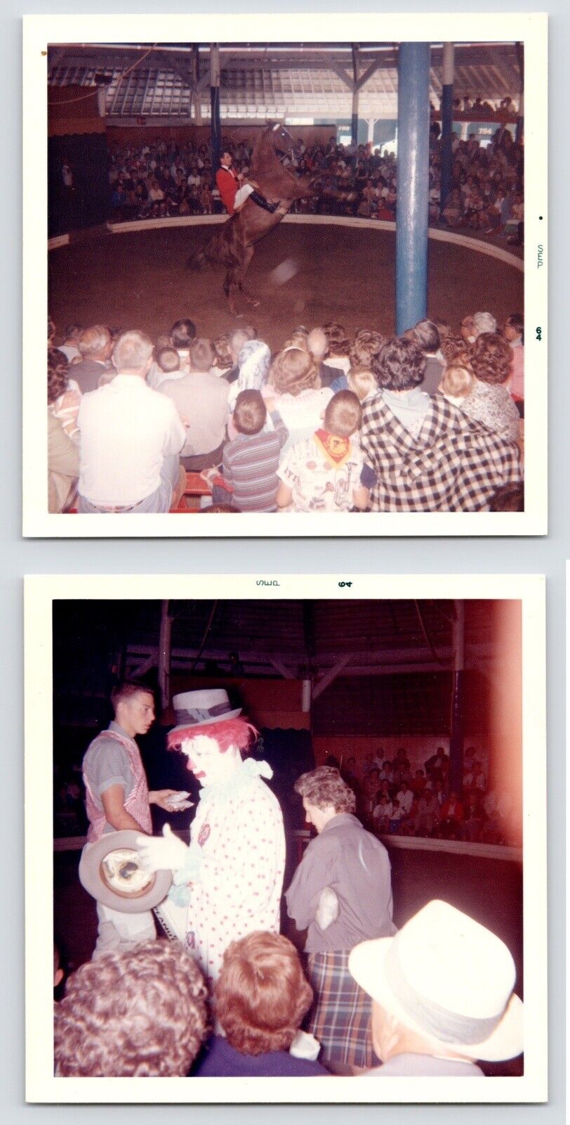 c1960s Horse Show~Circus Tent~Animal Tricks~Bozo Clown~2 Vintage Photographs