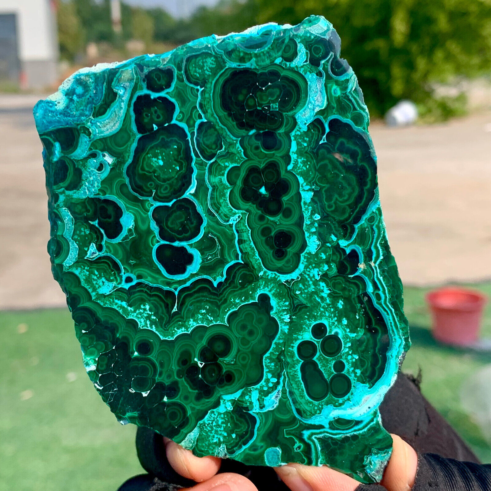 209G Natural chrysocolla/Malachite transparent cluster rough mineral sample