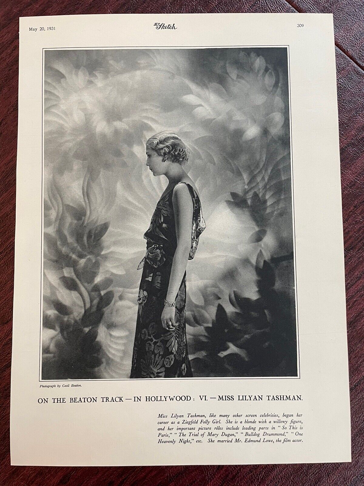 Lilyan Tashman Actress Photo Cecil Beaton Hollywood No. 6 The Sketch 1931