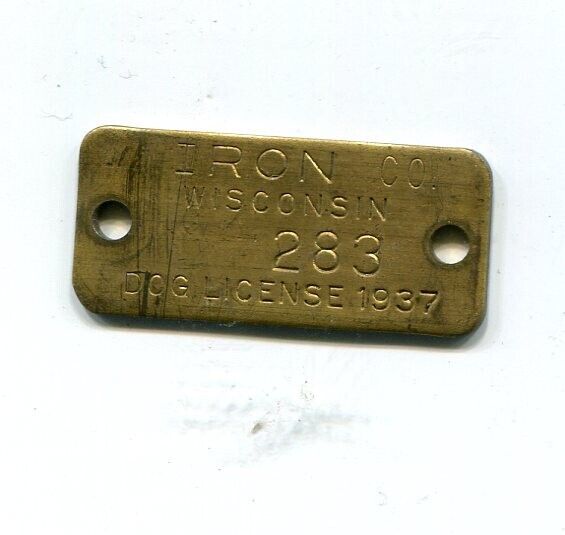 1937 Iron County Wisconsin Dog License Tag