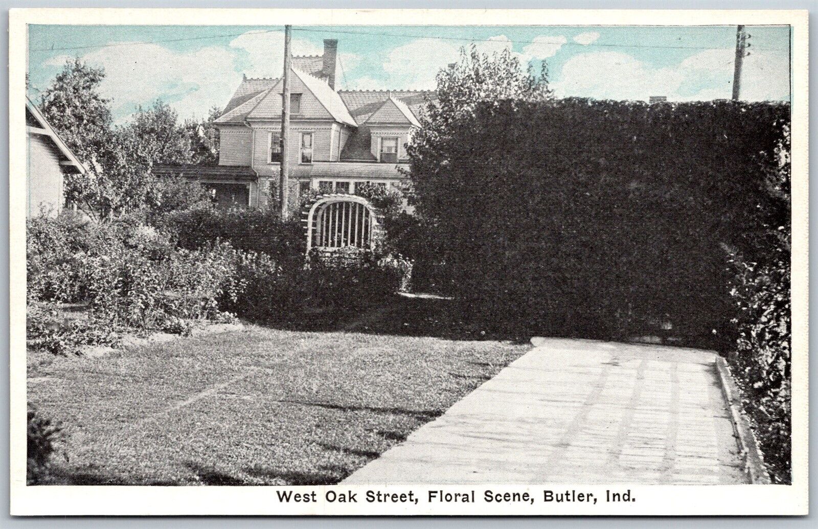 Vtg Butler Indiana IN West Oak Street Residence Home Floral 1910s View Postcard