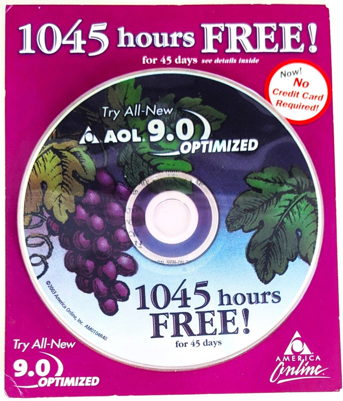 GRAPE America Online Collectible / Install Disc, Vintage AOL CD, Rare ver. 9.0
