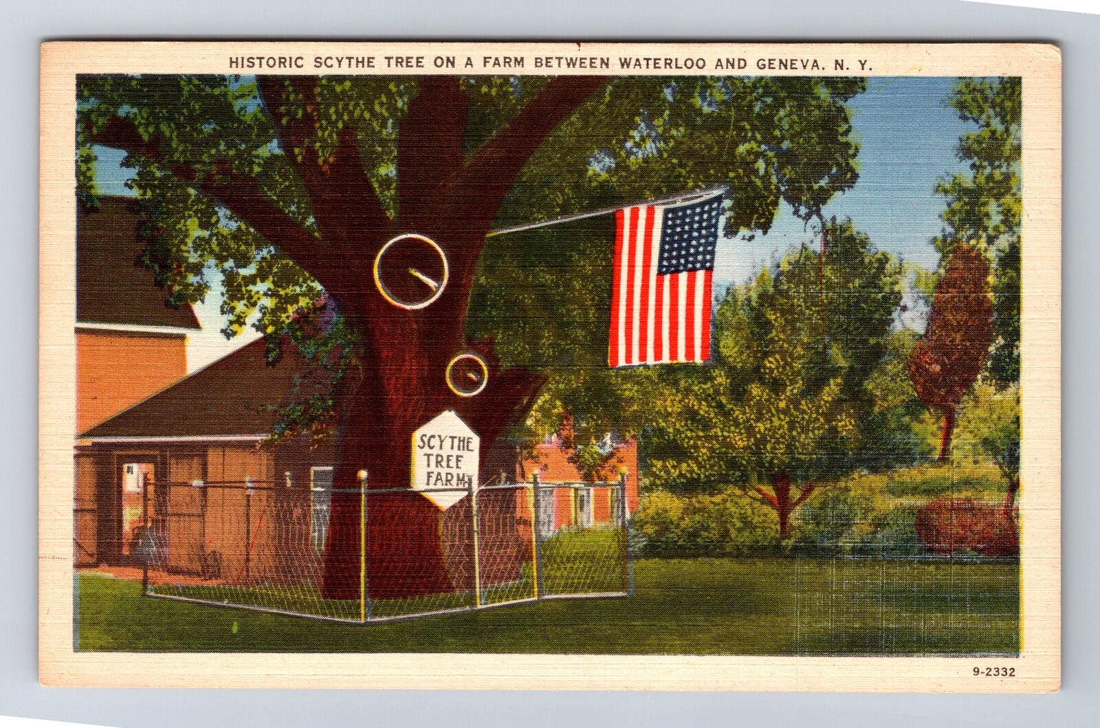 Geneva NY-New York, Historic Scythe Tree On A Farm, Antique, Vintage Postcard