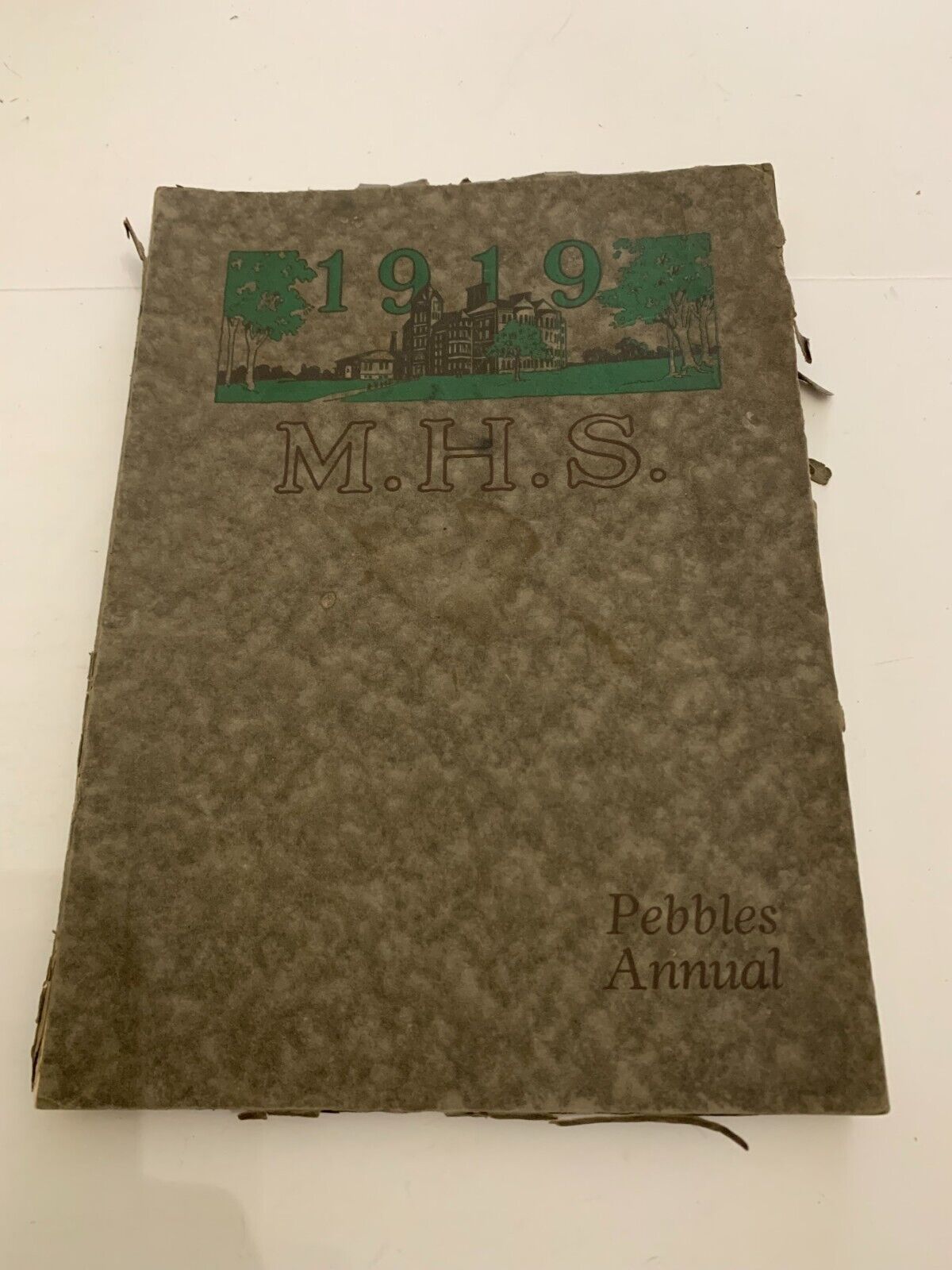 1919 Marshalltown Iowa High School Yearbook Pebbles