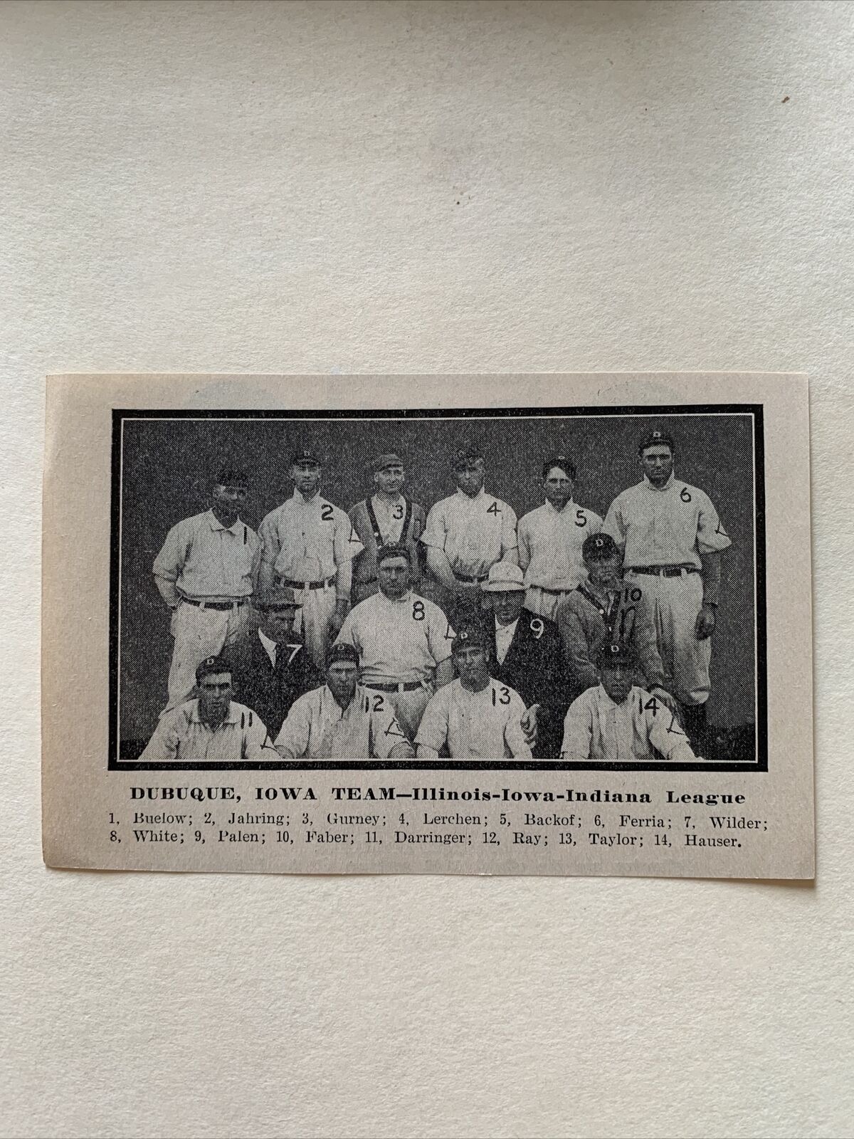Dubuque Dubs Iowa Red Faber Arnold Hauser C. Buelow 1909 Baseball Team Picture