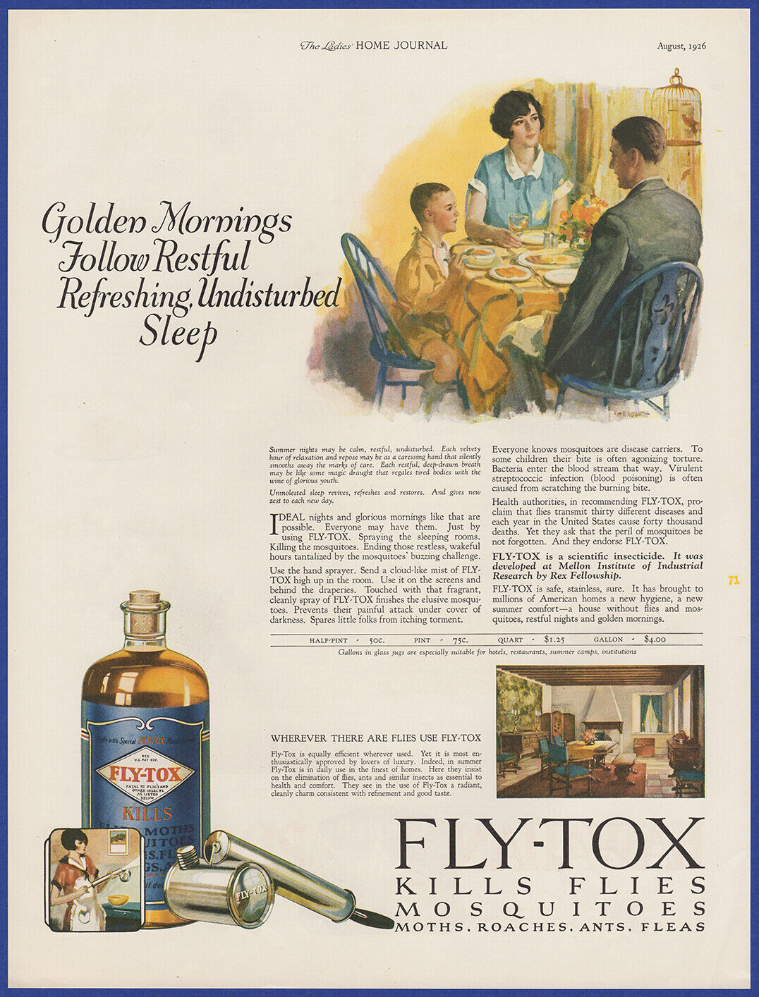 Vintage 1926 FLY-TOX Insecticide Bug Fly Spray Joseph Chenoweth Art Print Ad