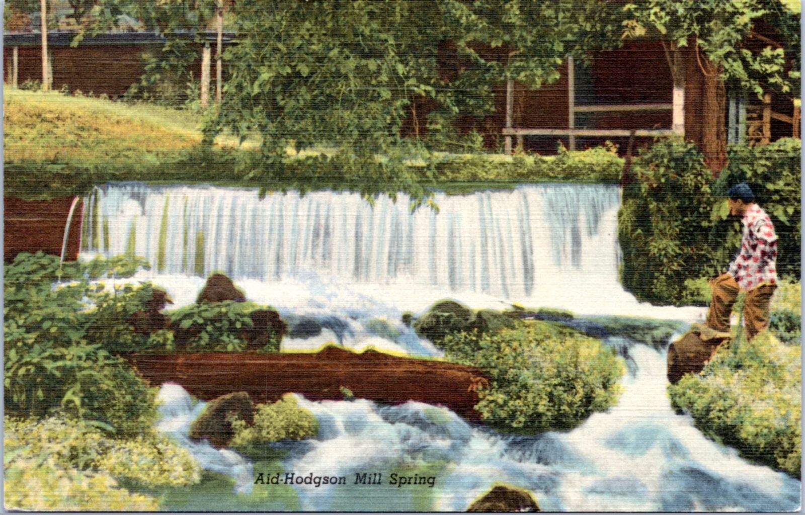 Postcard MO Aid-Hodgson Mill Spring