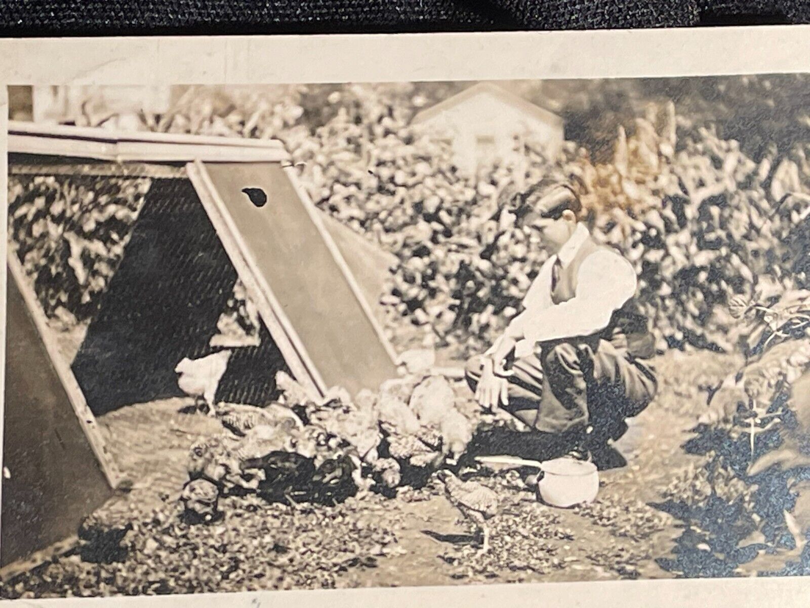Chickens Coop Farm Man with Chickens RPPC Real Photo c1910s Postcard A75