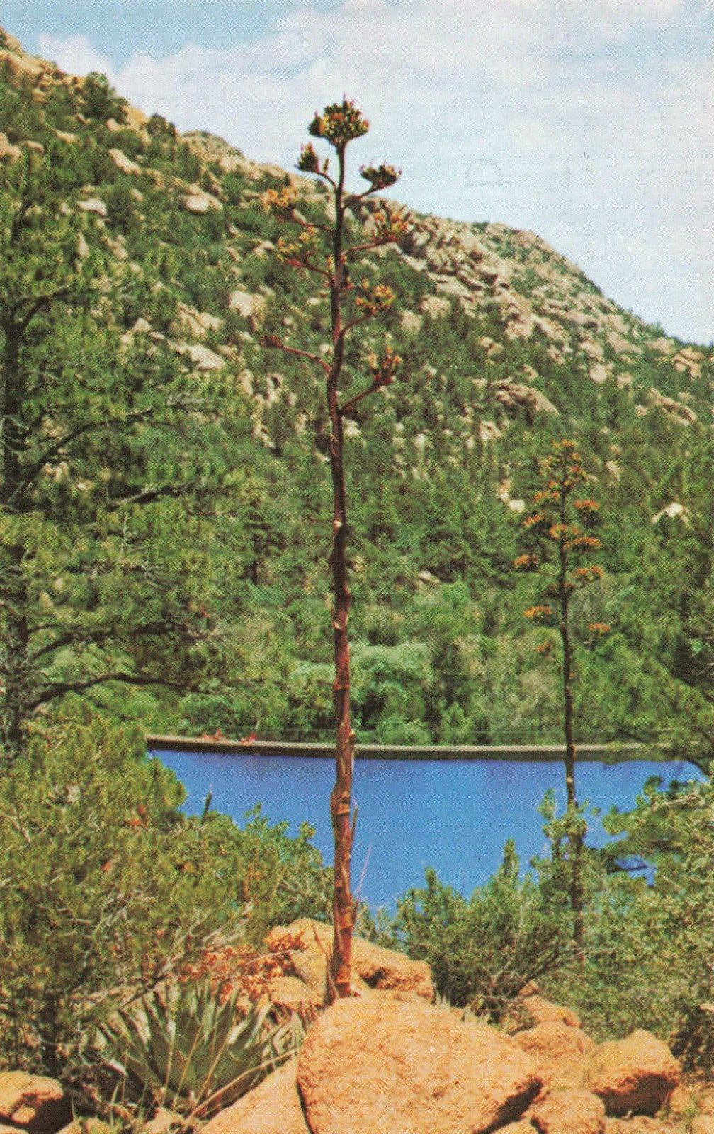 Prescott AZ Arizona, Granite Basin Lake, Granite Mountain, Vintage Postcard