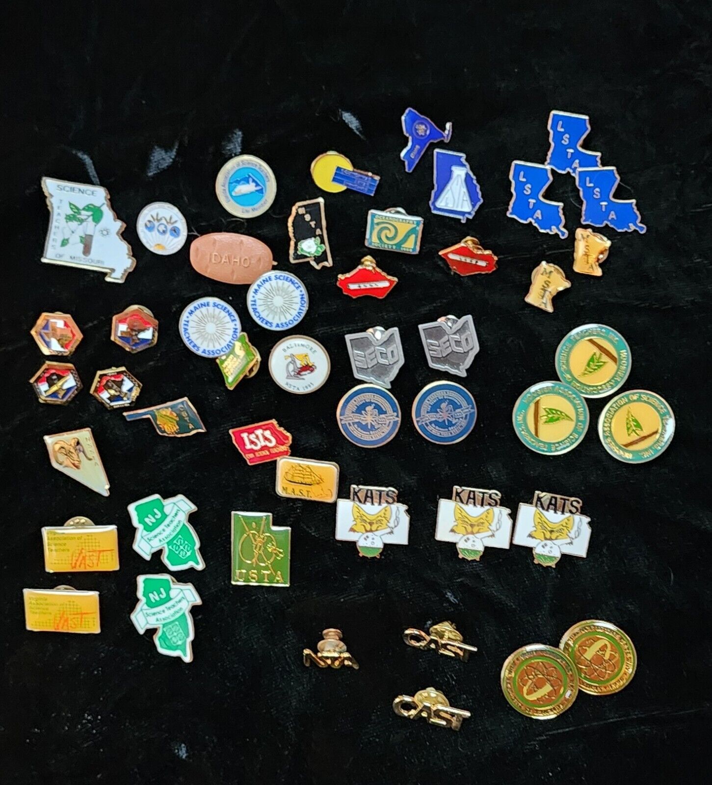 Lot Of 48 Science Teacher Association Pins Vintage, Some Duplicates, State/Nat\'l