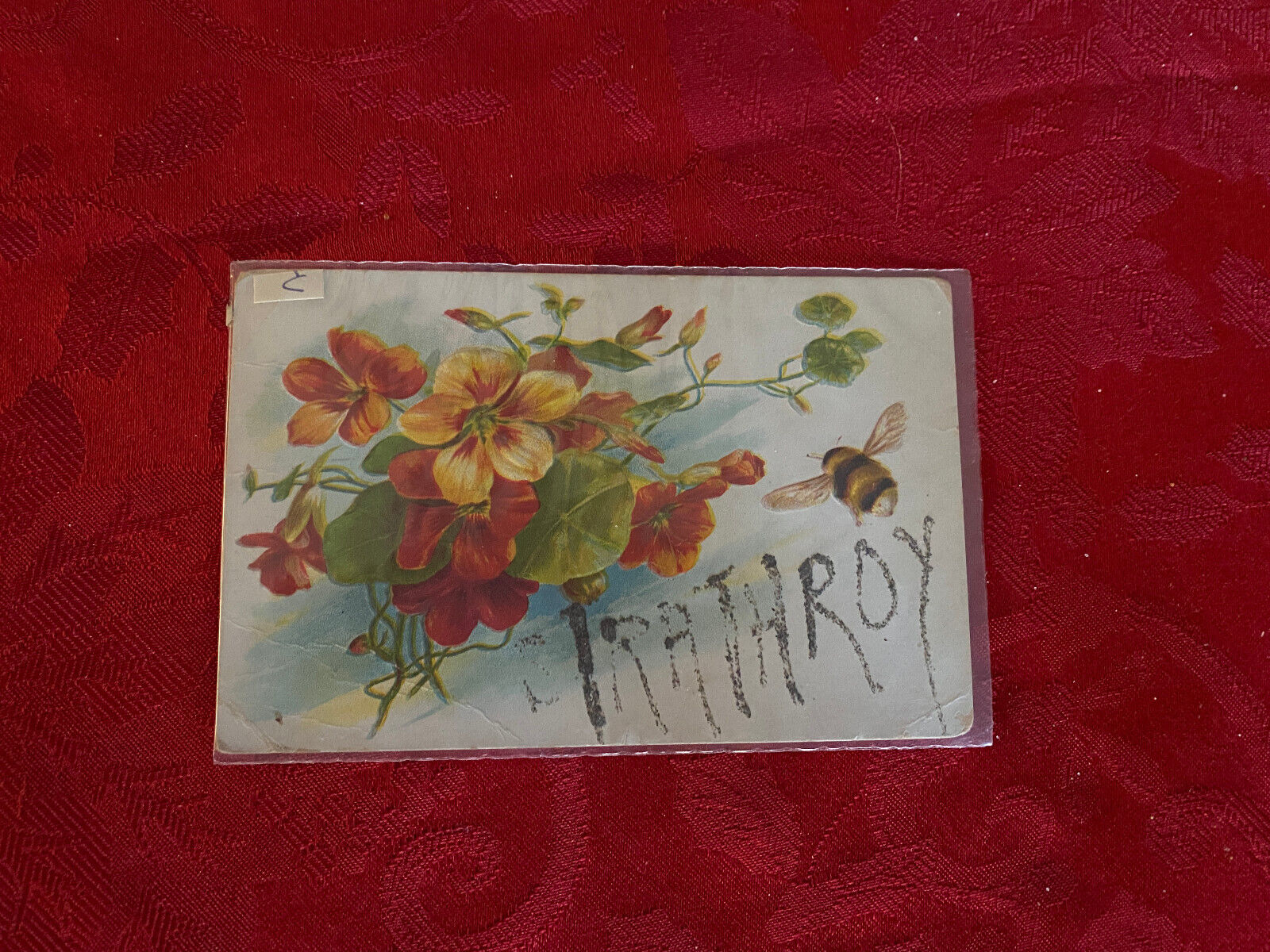 Antique Embossed Color Postcard Flowers and Bee from Strathroy, Canada