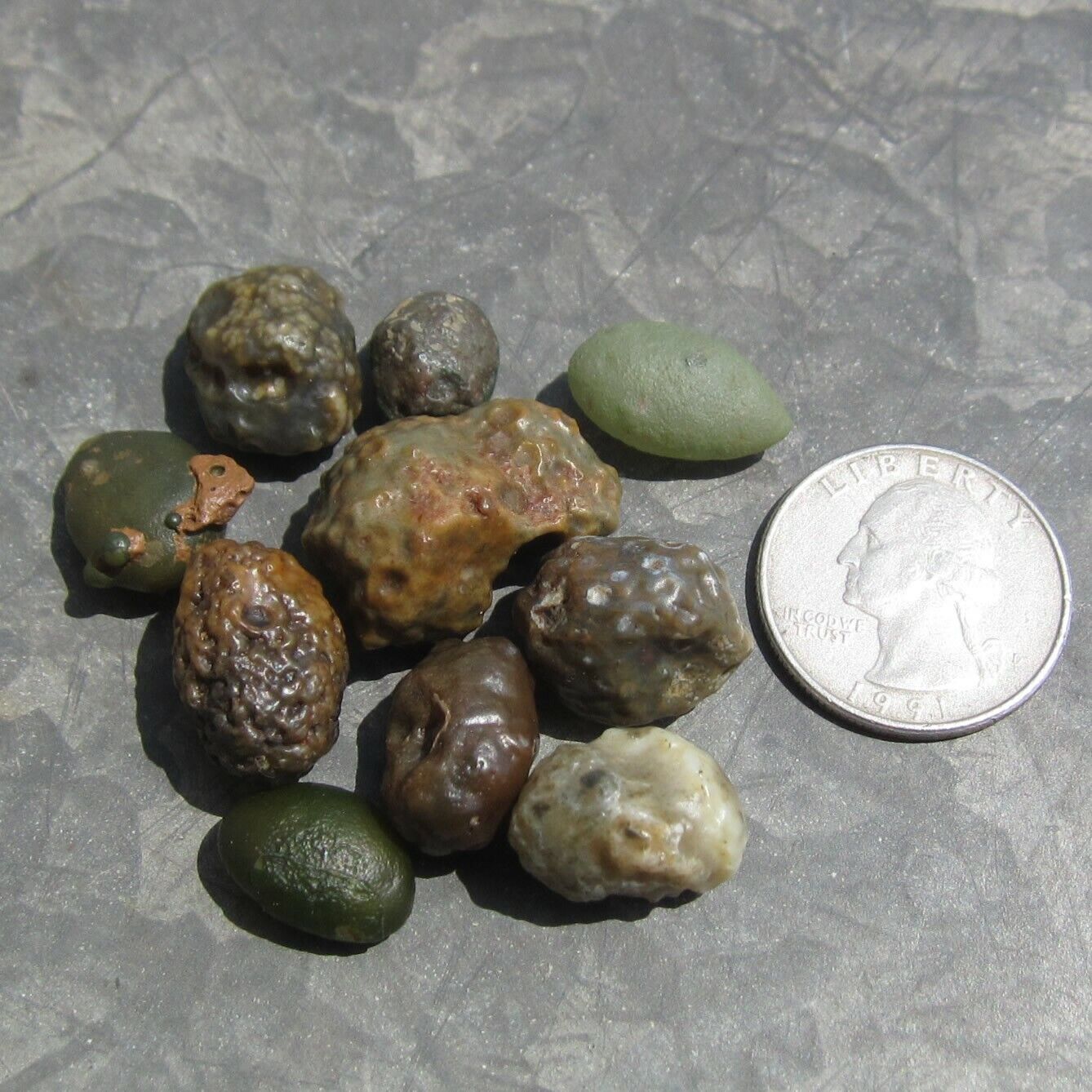 10PCS Natural Gobi agate/Jasper stone jinmai stone for Bonsai Suiseki gm872