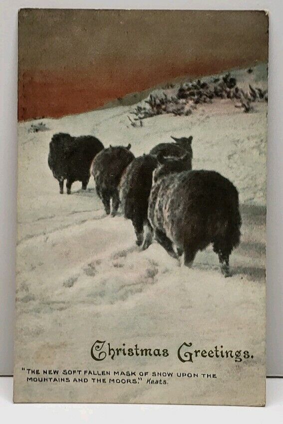 Christmas Greetings The New Soft Fallen Mask of Snow by Keats 1906 Postcard F19