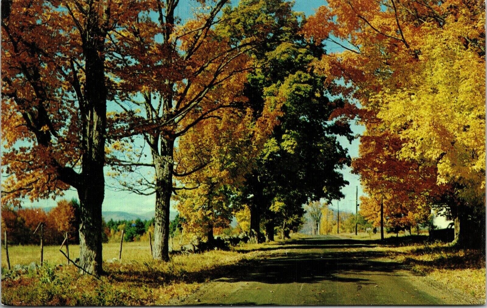 Greetings From Kaleva Michigan MI Fall Autumn Scene Postcard VTG UNP WOB Vintage
