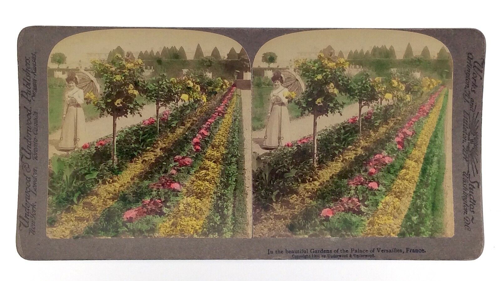 1901 Palace Versailles France Garden Colorized Underwood Stereograph 3D M272