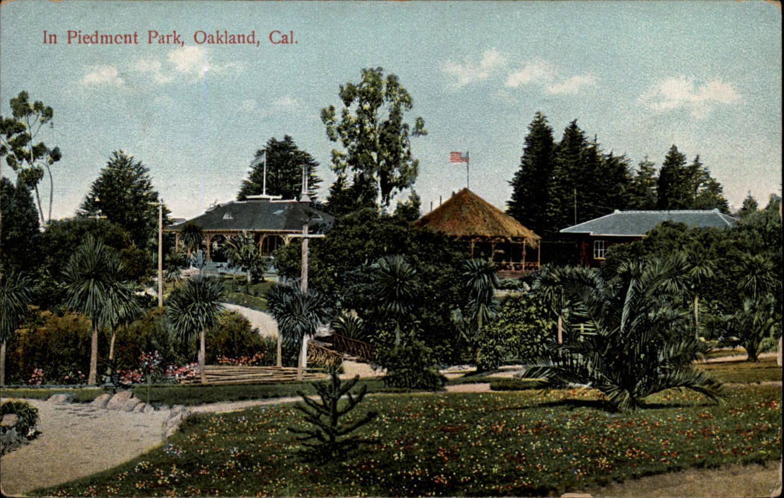 Piedmont Park ~ Oakland California ~ c1910 vintage Rieder 11841 postcard