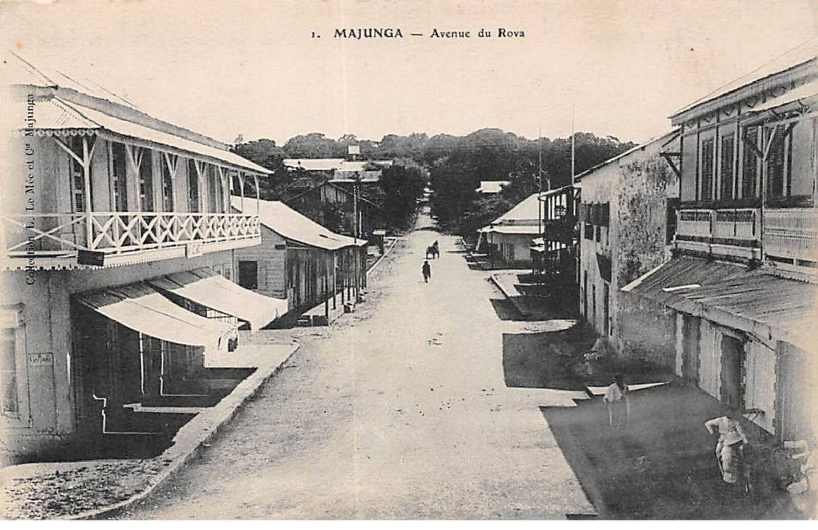 MADAGASCAR - MAJUNGA - SAN36779 - Avenue du Rova