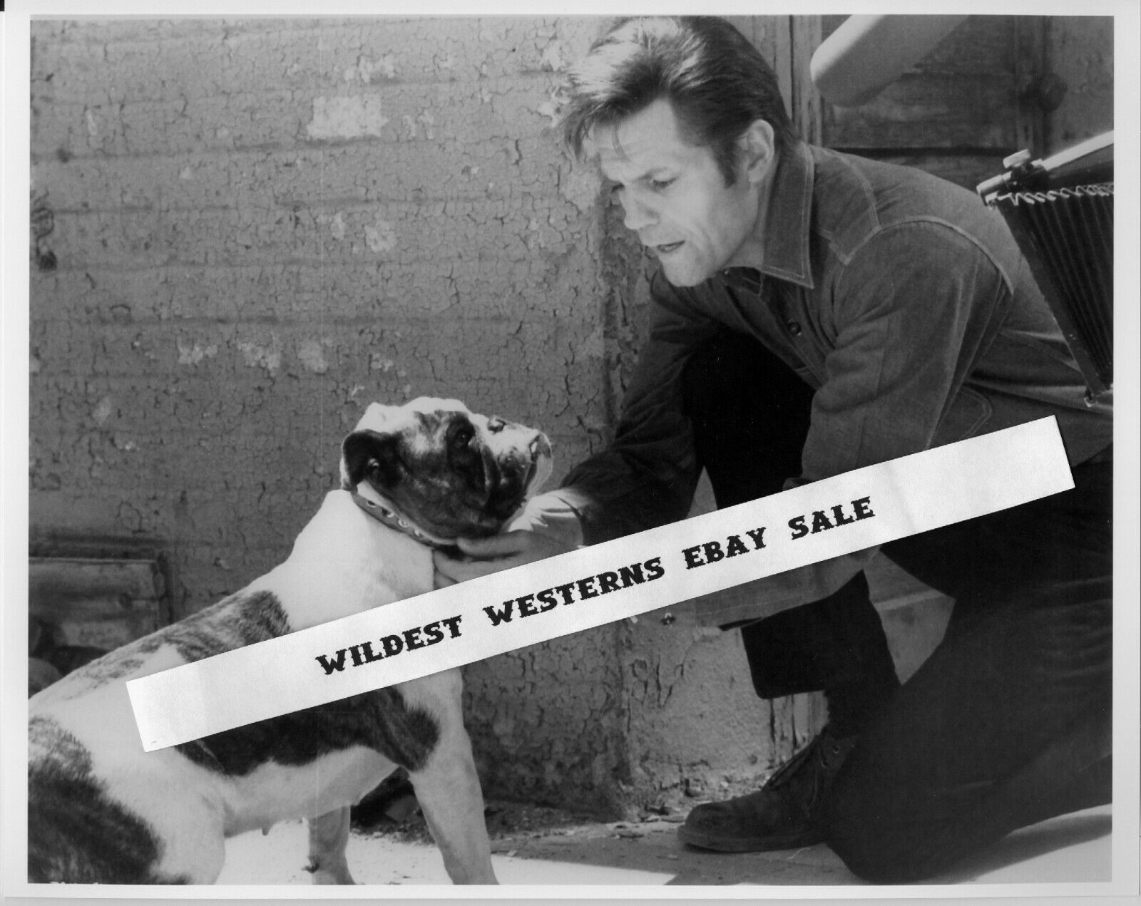 JACK LORD Hawaii Five-O Star PHOTO Western Candid w/ pet PUG Dog RARE