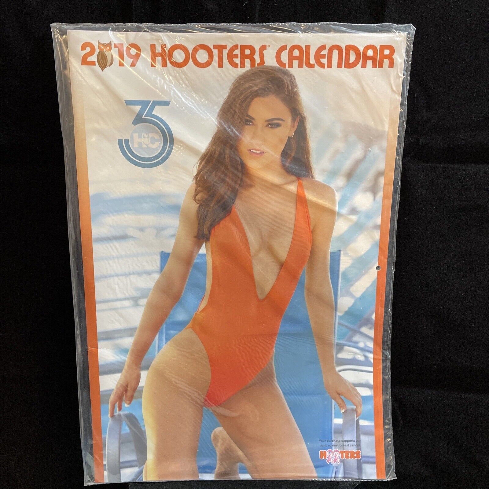 SEALED 2019 Hooters Collectable Wall Calendar Opens to 16\