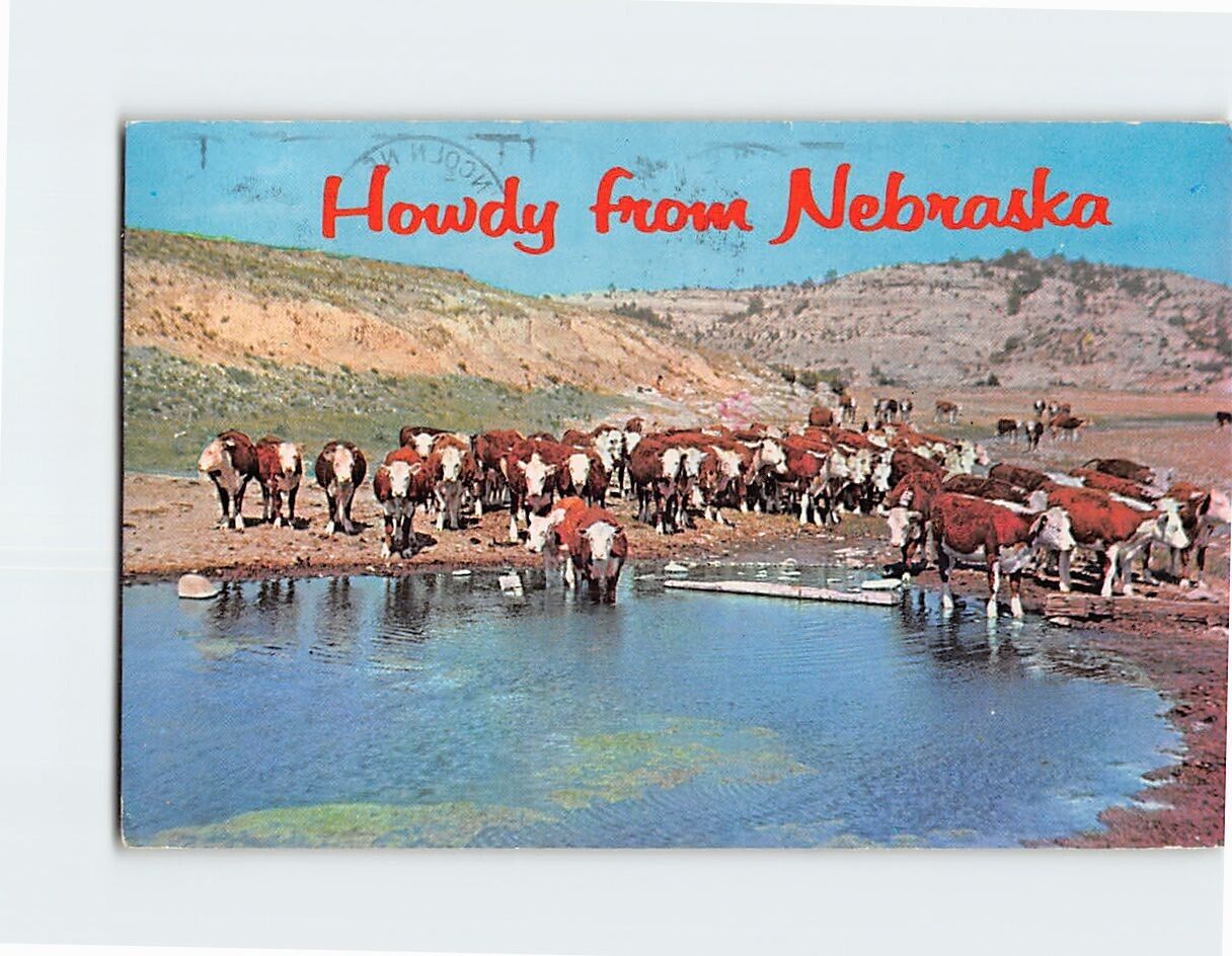 Postcard Howdy from Nebraska USA