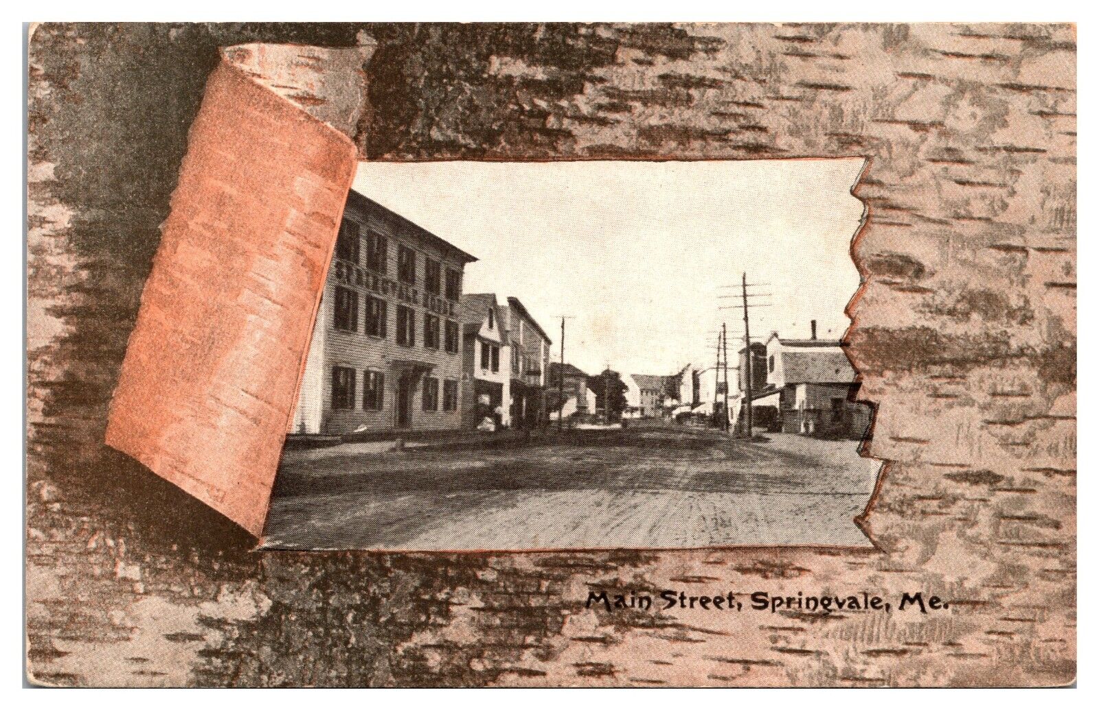 Antique Birch Bark Framed, Main Street, Springvale, ME Postcard